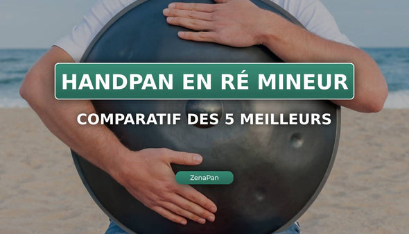 I 5 migliori handpan in Re minore (confronto)